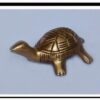 Brass Tortoise  3  Inch