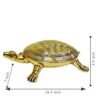 Brass Tortoise  7  Inch