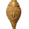 Brass Shankh Vishnu Virat Roop Carving| Konch 10 Inch